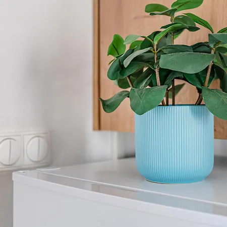 Rakoczi Ter Cozy Peaceful Ac, Metro *